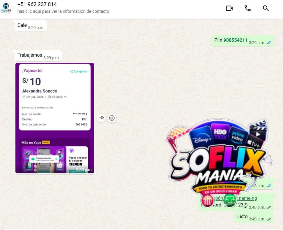 evidencia 5